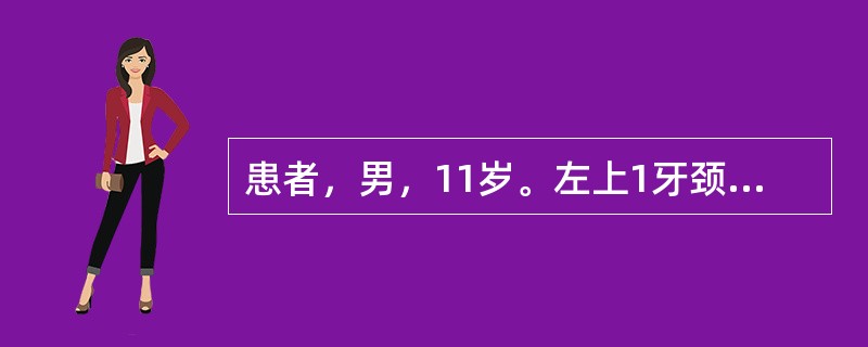 患者，男，11岁。左上1牙颈部冠折，已行根管治疗。如果选择桩冠修复，则此牙根充后