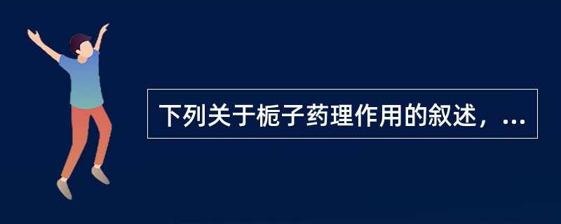 下列关于栀子药理作用的叙述，错误的是（）