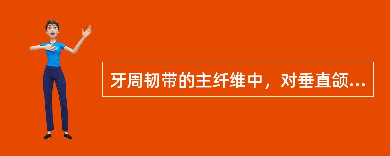 牙周韧带的主纤维中，对垂直颌力起缓冲作用的主要是（）