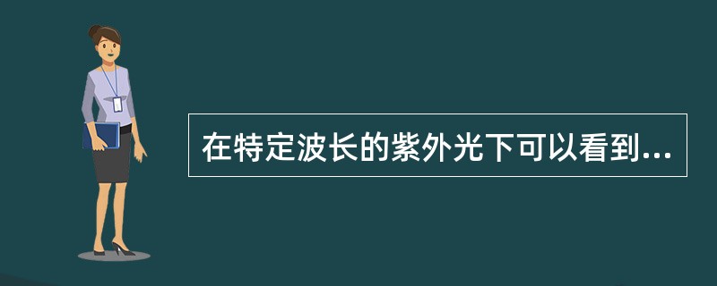 在特定波长的紫外光下可以看到第五套人民币纸张中有不规则分布的红色和蓝色荧光纤维。