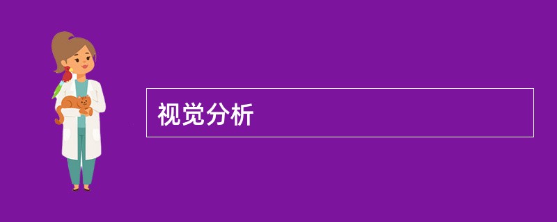 视觉分析