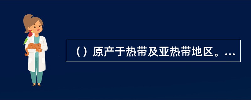 （）原产于热带及亚热带地区。我国北方需要在温室栽培和越冬。