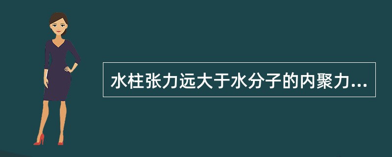 水柱张力远大于水分子的内聚力，从而使水柱不断。