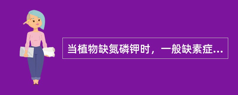 当植物缺氮磷钾时，一般缺素症从（）开始表现。