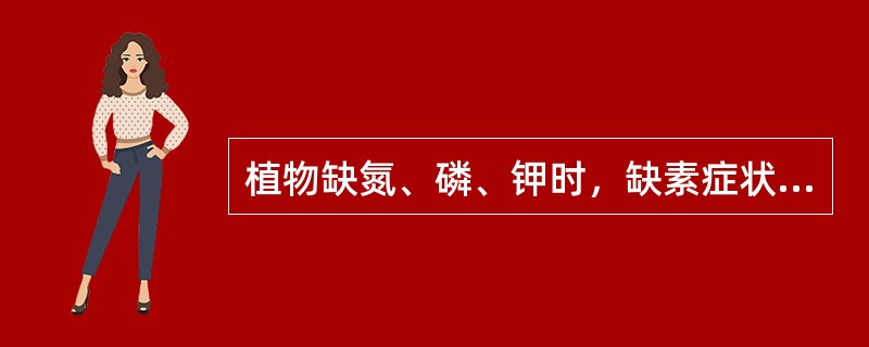 植物缺氮、磷、钾时，缺素症状首先从（）出现。