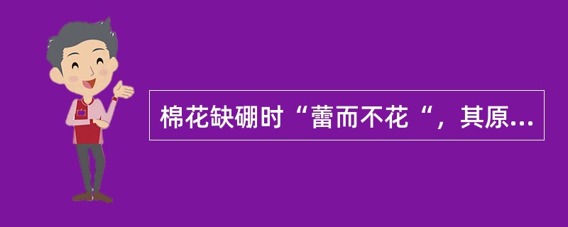 棉花缺硼时“蕾而不花“，其原因是硼影响（）。