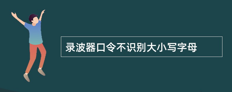 录波器口令不识别大小写字母