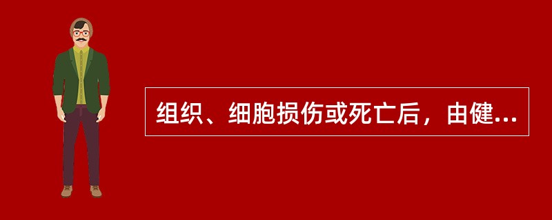 组织、细胞损伤或死亡后，由健康的组织细胞分裂增殖修补的过程属于（）。