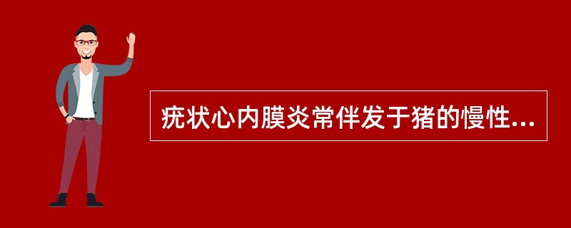 疣状心内膜炎常伴发于猪的慢性（）