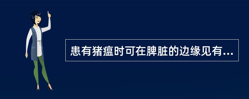 患有猪瘟时可在脾脏的边缘见有出血性梗死、脾脏（）