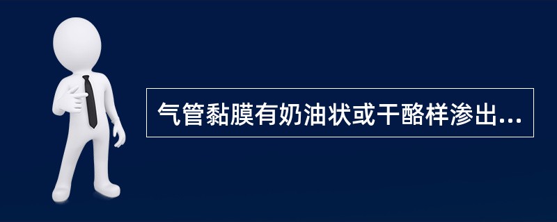 气管黏膜有奶油状或干酪样渗出物，渗出物中混有血液，可诊断为（）。