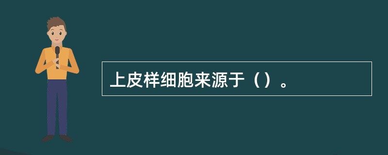 上皮样细胞来源于（）。