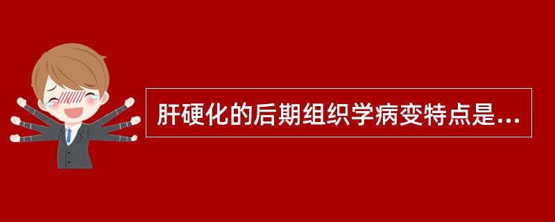 肝硬化的后期组织学病变特点是（）。