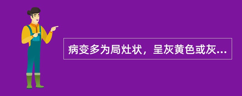 病变多为局灶状，呈灰黄色或灰白色斑块或条纹，散布于黄红色心肌上，形似虎皮的斑纹，
