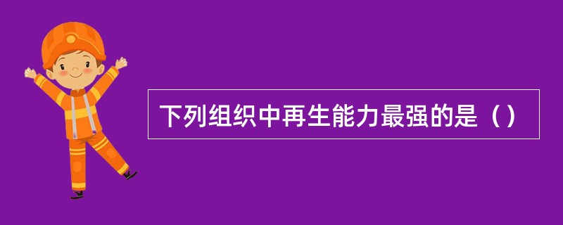 下列组织中再生能力最强的是（）