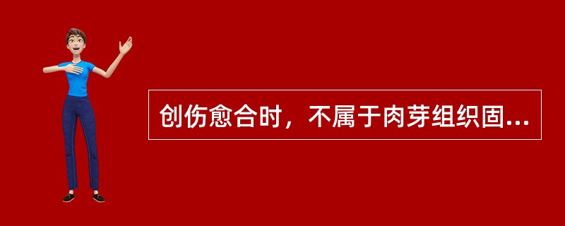 创伤愈合时，不属于肉芽组织固有成分的是（）。