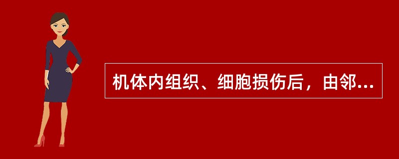 机体内组织、细胞损伤后，由邻近健康的组织细胞分裂增殖完成修复的过程属于（）