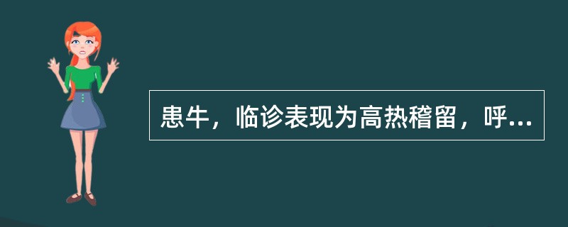 患牛，临诊表现为高热稽留，呼吸困难，鼻腔流出铁锈色的鼻液；肺部叩诊浊音，听诊有支