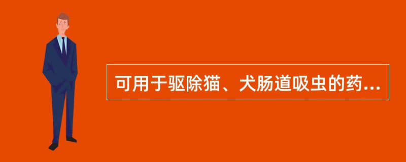 可用于驱除猫、犬肠道吸虫的药物是（）