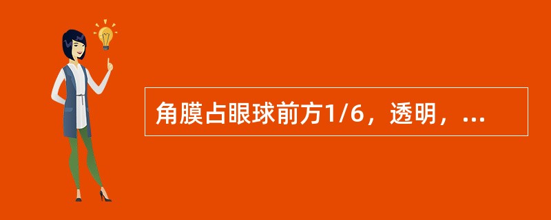 角膜占眼球前方1/6，透明，外表面中央约3mm左右为球形弧面，（）。横径大于纵径