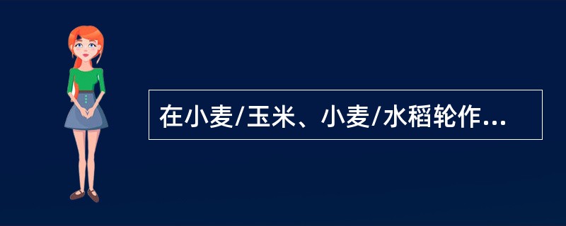 在小麦/玉米、小麦/水稻轮作体系中，磷肥应如何分配？为什么？