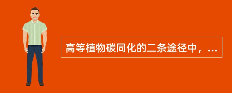 高等植物碳同化的二条途径中，能形成淀粉等产物的是（）