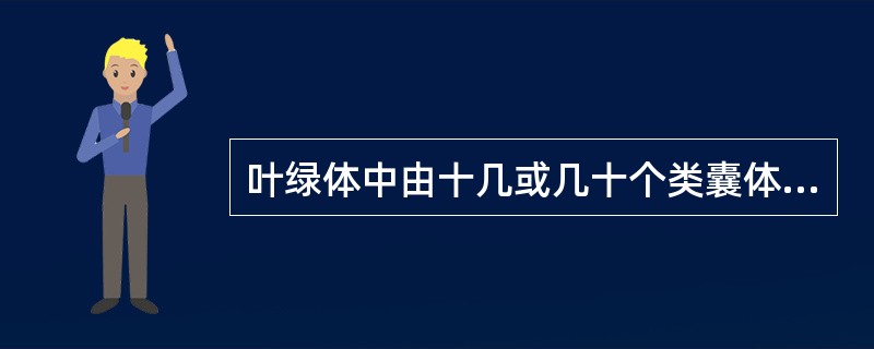 叶绿体中由十几或几十个类囊体垛迭而成的结构称（）