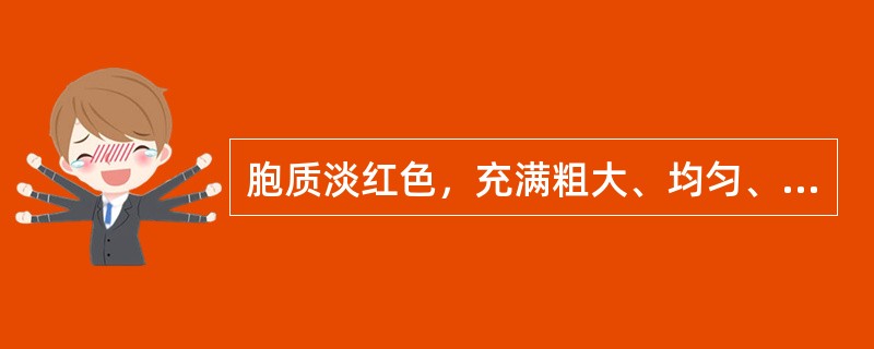 胞质淡红色，充满粗大、均匀、排列紧密的橘红色颗粒，此种细胞是（）