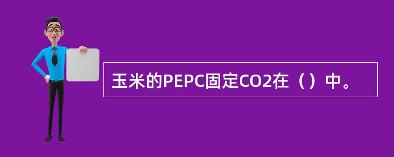 玉米的PEPC固定CO2在（）中。