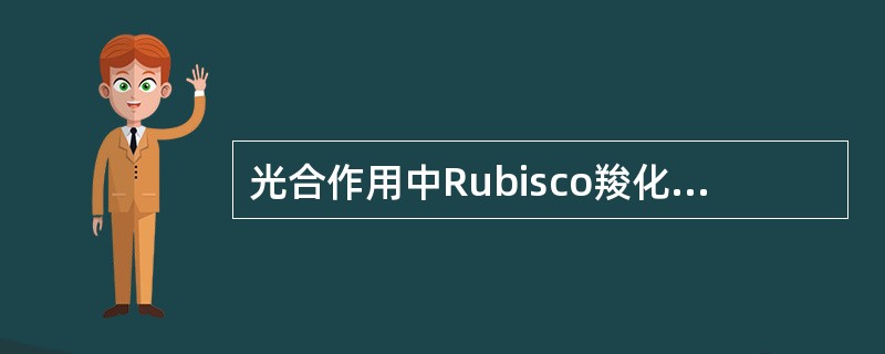 光合作用中Rubisco羧化反应发生在（）。