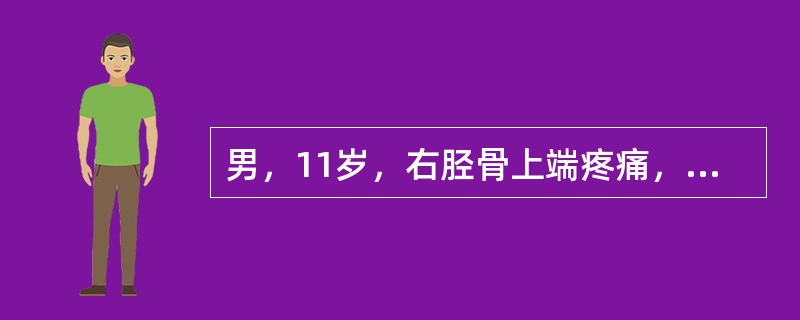 男，11岁，右胫骨上端疼痛，肿胀，压痛，关节活动受限。X线片示右胫骨上端偏右骨密