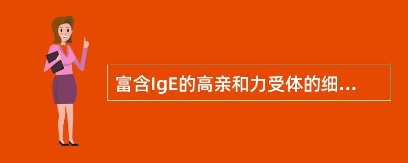 富含IgE的高亲和力受体的细胞是（）