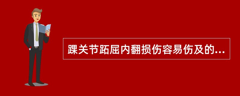 踝关节跖屈内翻损伤容易伤及的韧带（）