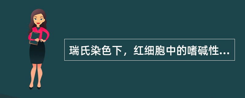 瑞氏染色下，红细胞中的嗜碱性点彩颗粒为（）