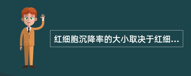 红细胞沉降率的大小取决于红细胞的（）