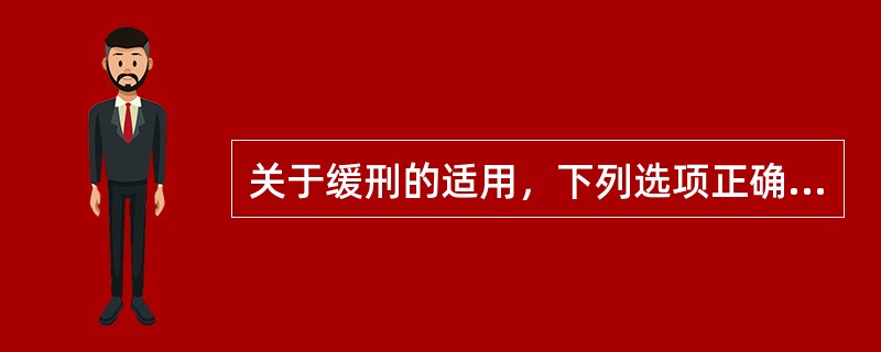 关于缓刑的适用，下列选项正确的是：（）