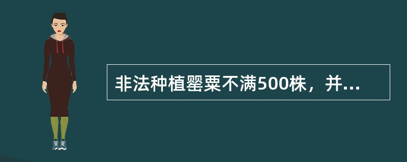 非法种植罂粟不满500株，并在（）自行铲除的，不予处罚。