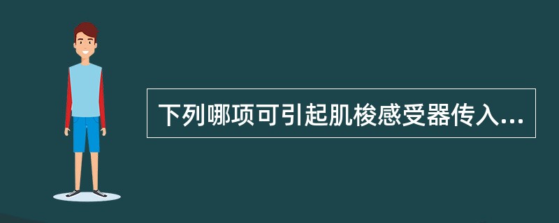 下列哪项可引起肌梭感受器传入冲动增多（）?