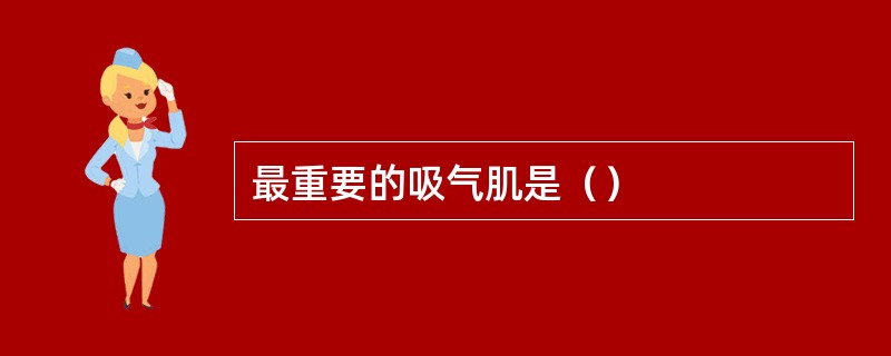 最重要的吸气肌是（）