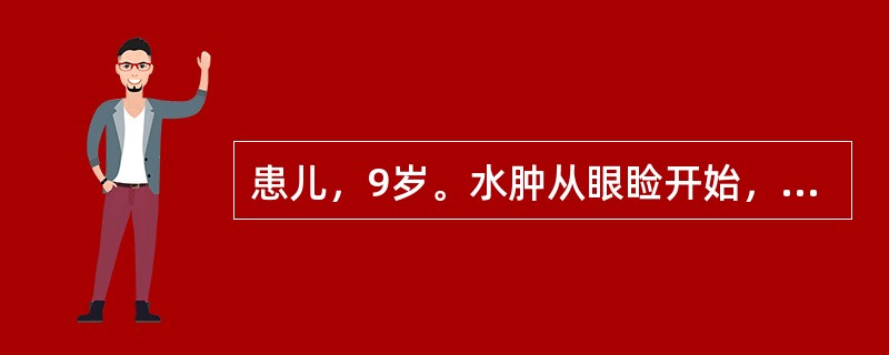 患儿，9岁。水肿从眼睑开始，迅速波及全身，皮肤光亮，按之凹陷即起，尿少色赤，伴咽