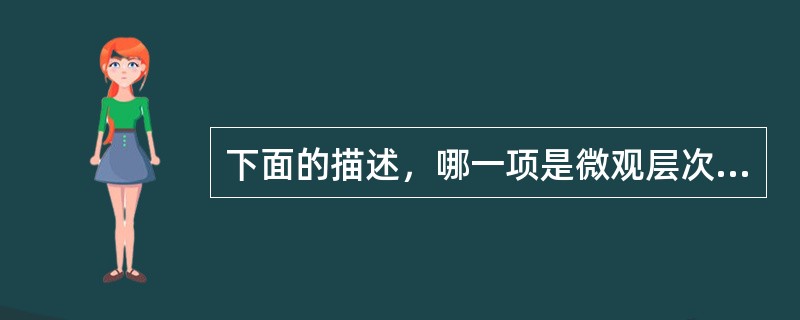 下面的描述，哪一项是微观层次信息管理的研究内容（）