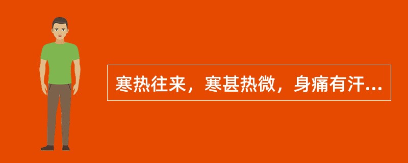 寒热往来，寒甚热微，身痛有汗，手足沉重，呕逆胀满，舌苔白厚腻浊如积粉，脉缓，证属