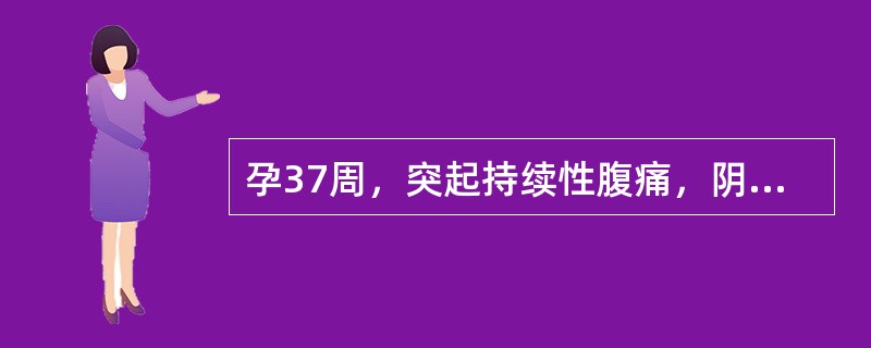 孕37周，突起持续性腹痛，阴道少量出血，贫血程度与外出血量不符。应诊断为（）