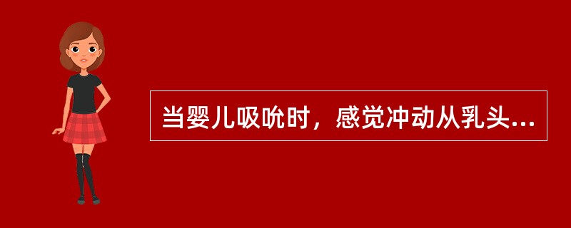 当婴儿吸吮时，感觉冲动从乳头传到大脑，大脑底部的垂体反应性地分泌催乳素。催乳素经