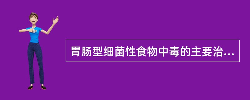 胃肠型细菌性食物中毒的主要治疗措施是（）