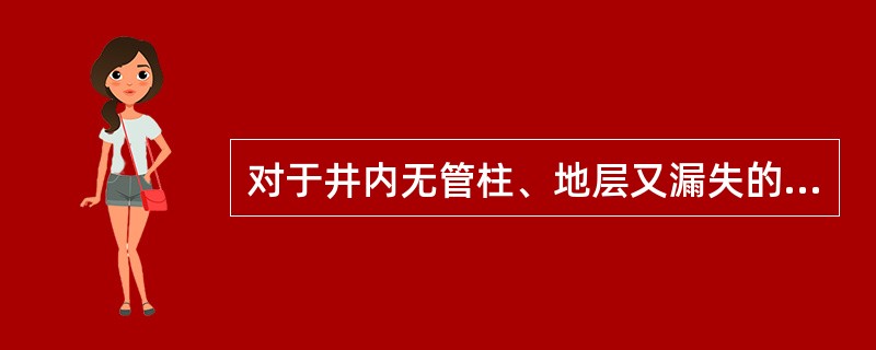 对于井内无管柱、地层又漏失的井，压井时应选择（）压井。
