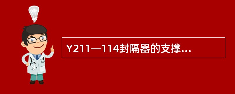 Y211—114封隔器的支撑方式为（）。