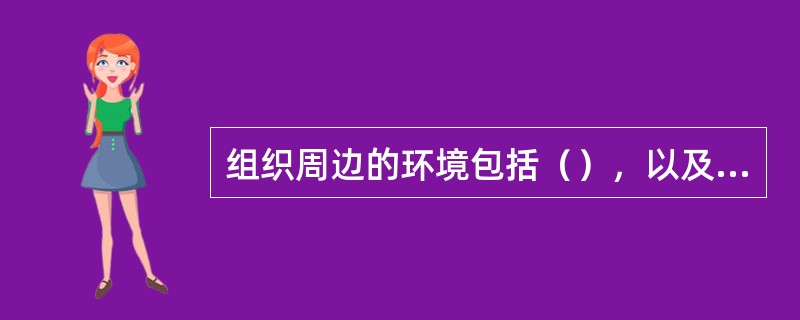 组织周边的环境包括（），以及它们之间的相互关系。