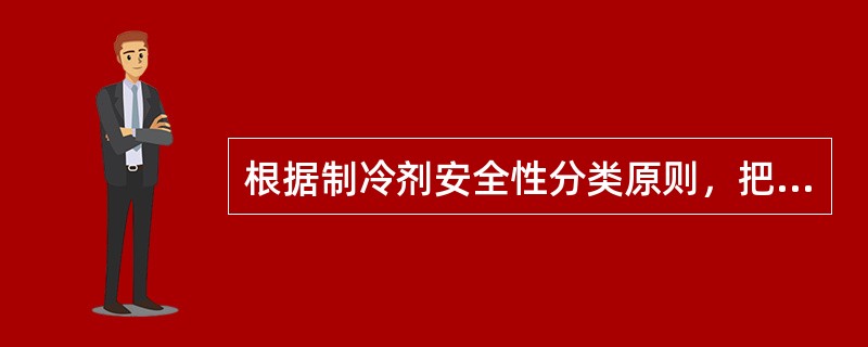 根据制冷剂安全性分类原则，把制冷剂分为（）种安全分组类型。