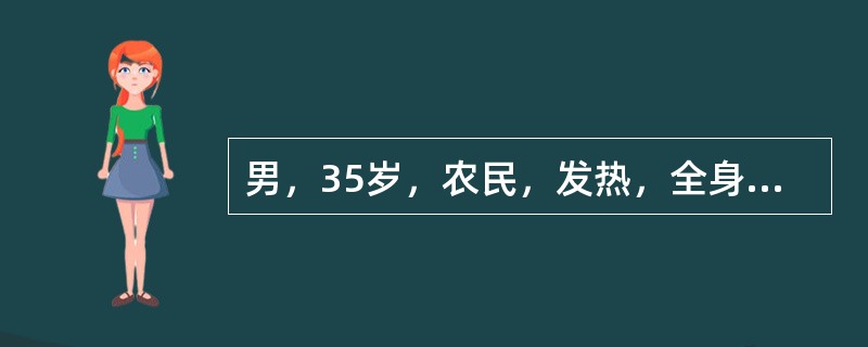 男，35岁，农民，发热，全身酸痛、乏力2天，结膜充血。血象：WBC12&time